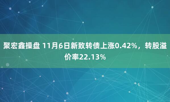 聚宏鑫操盘 11月6日新致转债上涨0.42%，转股溢价率22.13%
