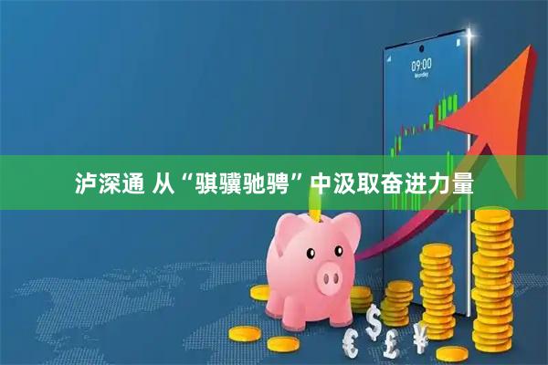 泸深通 从“骐骥驰骋”中汲取奋进力量