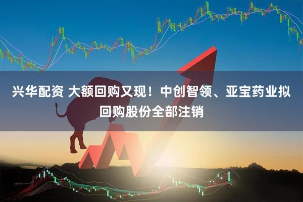 兴华配资 大额回购又现！中创智领、亚宝药业拟回购股份全部注销